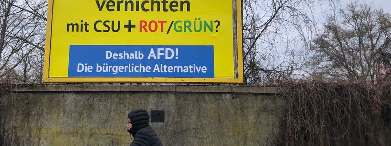 Auffällige AfD-Wahlwerbung wie hier in Bamberg ist auch in anderen Städten in Deutschland zu sehen. Es handelt sich nicht um offizielle AfD-Wahlplakate, sondern um eine Aktion des Spenders Gerd Dingler aus Österreich. (Archivbild) - Foto: David Hutzler/dpa