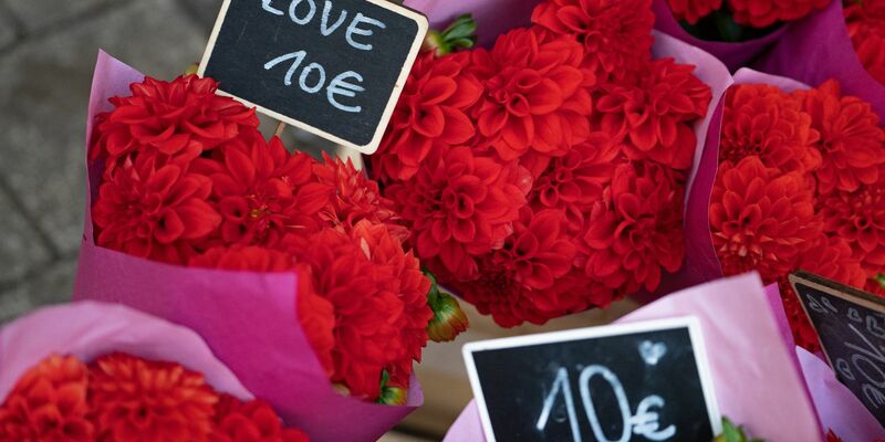 Blumen werden zum Valentinstag nach wie vor besonders häufig verschenkt. (Archivbild) - Foto: Helena Dolderer/dpa