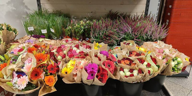 Blumen (Archiv) - Foto: über dts Nachrichtenagentur