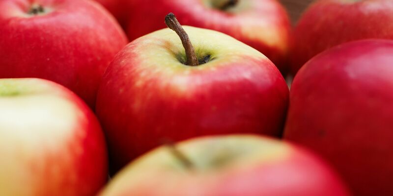 Bislang wurden rund 200.000 Apfelbäume gepflanzt. - Foto: Lässig/Ecarf/dpa