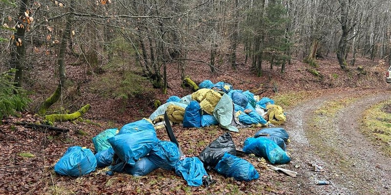 POL-PDWIL: Umweltgefährdende Abfallbeseitigung im Wald - Foto: presseportal.de