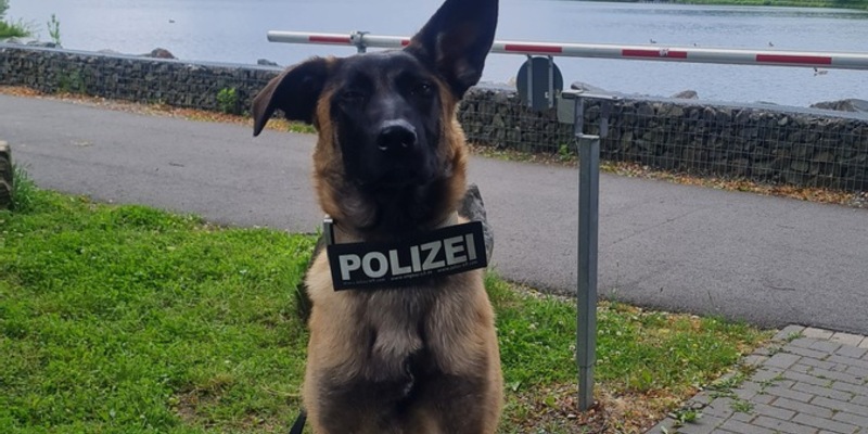 POL-SO: Zuwachs für die Polizei im Kreis Soest - Foto: presseportal.de