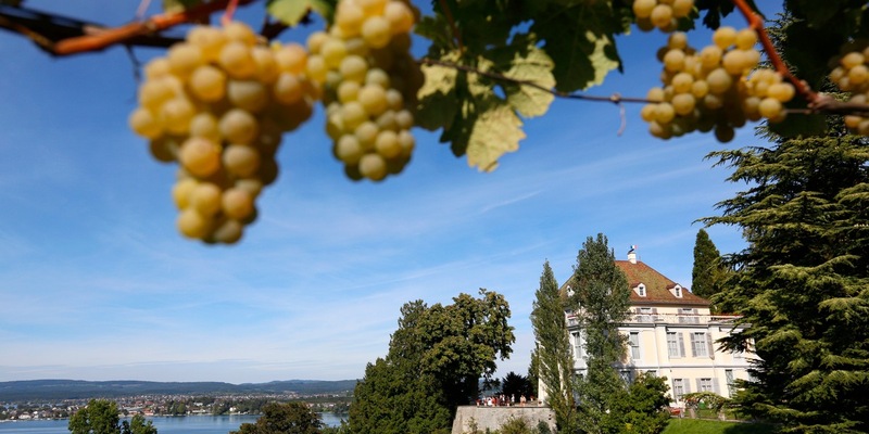 Bodensee 2025: Ein Jahr voller Highlights - Foto: presseportal.de