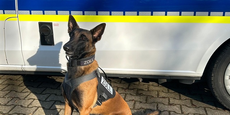 HZA-DU: Zollhund Frieda findet Drogenversteck im Auto - Über ein Kilogramm Kokain sichergestellt - Foto: presseportal.de
