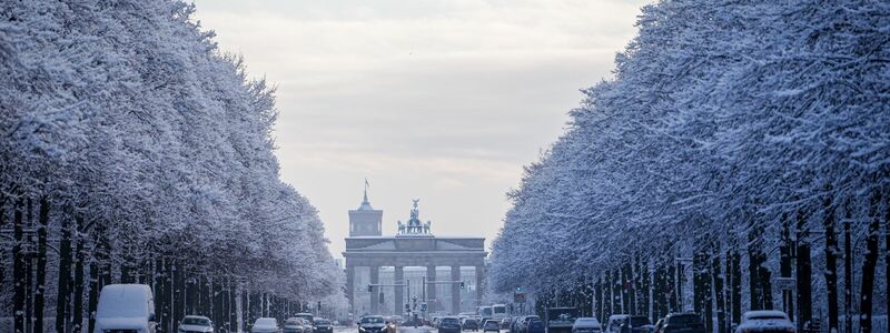 Verschneite Bäume glitzerten im Tiergarten. - Foto: Kay Nietfeld/dpa