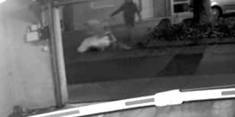 POL-PPWP: Fall Diana Bodi bei ARD Brisant - Foto: presseportal.de