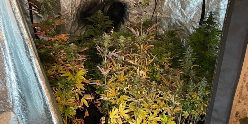 POL-SU: 44-jährige Frau wegen mutmaßlichen Drogenhandels festgenommen - Foto: presseportal.de