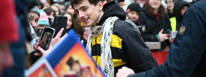 Chalamet gilt als einer der aktuell populärsten Schauspieler. - Foto: Elisa Schu/dpa