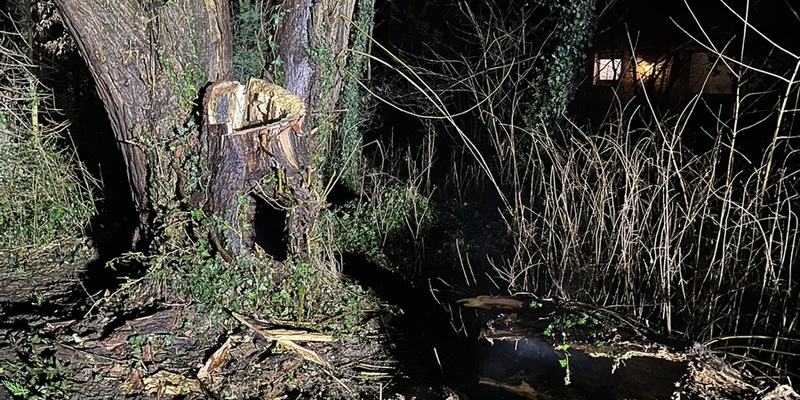 FW-WRN: Brennender Baum am Hansaring - Foto: presseportal.de