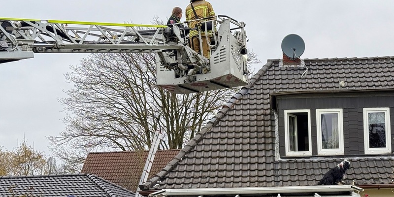 FW Osterholz-Scharm.: Hund auf Dach - Foto: presseportal.de
