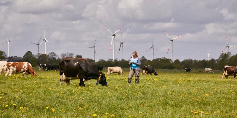 Arla Foods mit starkem Finanzergebnis im Jahr 2024 - Foto: presseportal.de