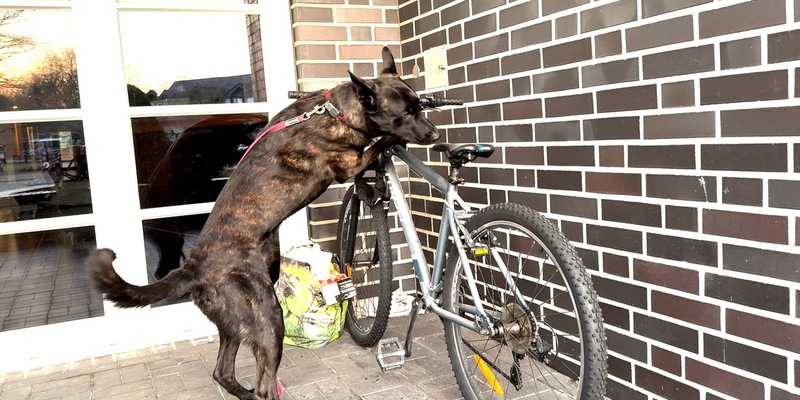 POL-OS: Osnabrück: Großverfahren wegen Kreditbetruges - Zahlreiche Durchsuchungen und zwei Festnahmen in sechs Bundesländern (VIDEO) - Foto: presseportal.de