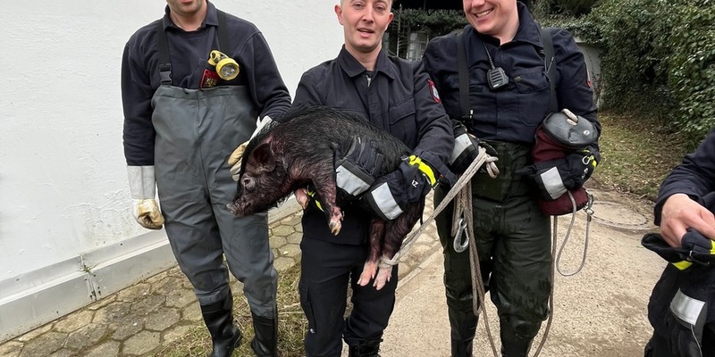 FW Hagen: Tierische Rettung, Schwein aus Notlage befreit - Foto: presseportal.de