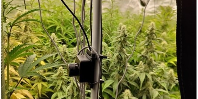 POL-LG: ++ Cannabispflanzen aufgefunden ++ Suche nach einem vermissten Mann ++ Diebstahl aus Bekleidungsgeschäft - Sicherungsalarm ausgelöst ++ Einbruch in zwei nebeneinanderstehende Transporter ++ - Foto: presseportal.de