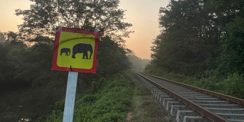 Wildhüter und Polizeibeamte stehen an einer entgleisten Lokomotive, nachdem ein Personenzug mit einer Elefantenherde zusammengestoßen ist. (Foto aktuell) - Foto: Priyan Malinda/AP/dpa