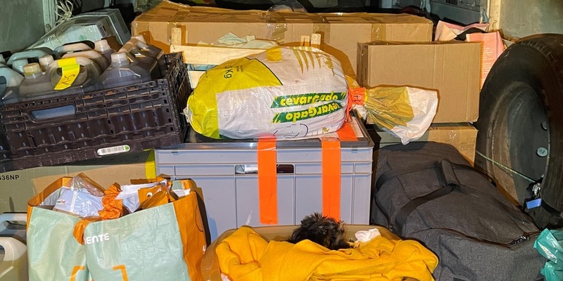 HZA-SI: ZOLL entdeckt Hundewelpen auf Ladefläche - Foto: presseportal.de