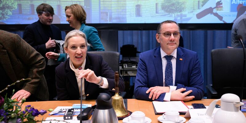 Die alte AfD-Fraktionsspitze ist auch die neue.  - Foto: Bernd von Jutrczenka/dpa