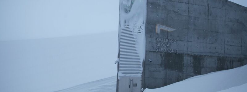 Eine schwere Stahltür führt eingebettet in einen spektakulären Betoneingang ins Innere eines schneebedeckten Berges. (Archivbild) - Foto: Steffen Trumpf/dpa