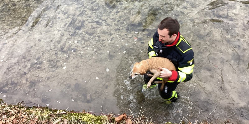 FW-M: Hund in Not (Thalkirchen) - Foto: presseportal.de