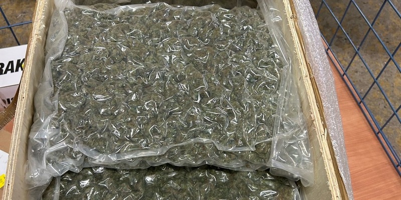 ZOLL-E: Feine Spürnase - Zollhündin Frieda führt Zöllner zum Erfolg ! - fast 50 kg Drogen sichergestellt - 1 Person in Haft - Foto: presseportal.de