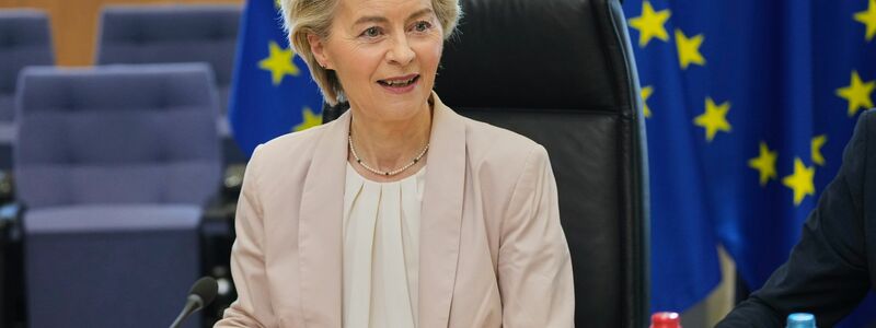 Ursula von der Leyen bei einem Treffen mit Industrievertretern.  - Foto: Virginia Mayo/AP/dpa