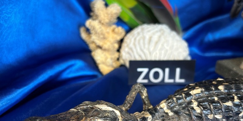 HZA-RO: Hauptzollamt Rosenheim appelliert an den Schutz gefährdeter Tiere und Pflanzen / Tag des Artenschutzes am 03. März - Foto: presseportal.de