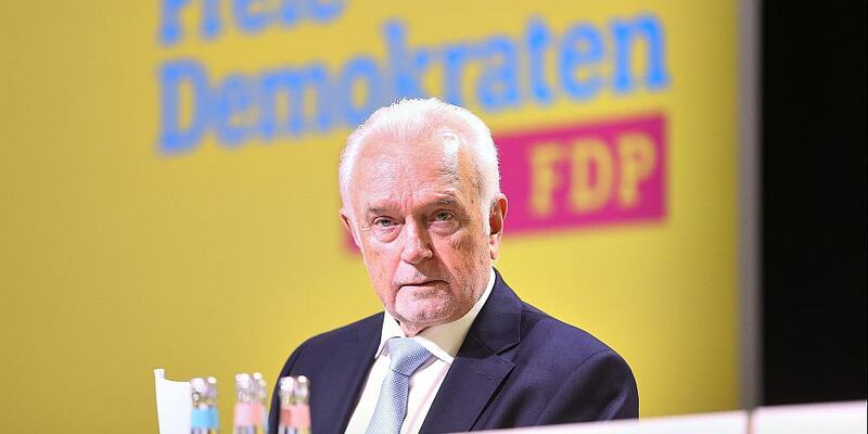 Wolfgang Kubicki (Archiv) - Foto: über dts Nachrichtenagentur