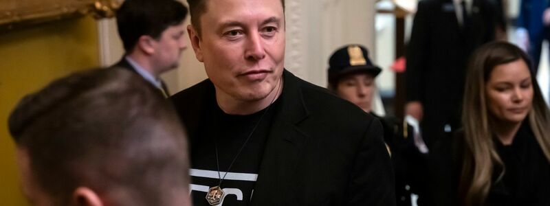 Musk soll kürzen, wo andere nicht kürzen - Foto: Ben Curtis/AP/dpa