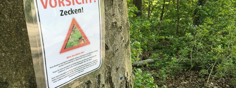 Zecken können unter anderem Lyme-Borrelien und FSME-Viren übertragen. (Archivbild) - Foto: Julian Stratenschulte/dpa