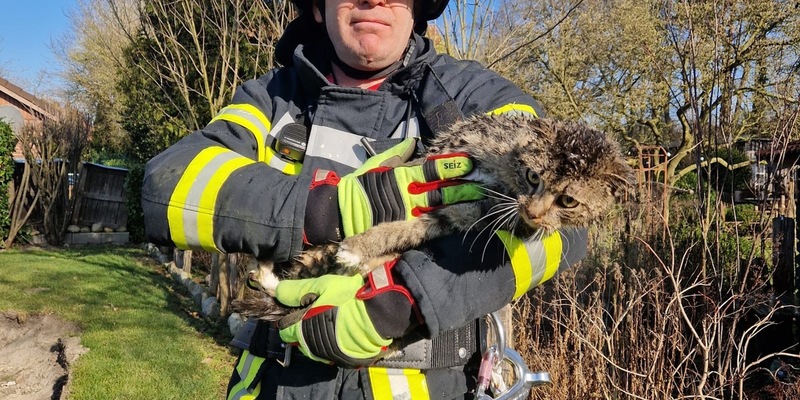 FFW Fredenbeck: Katze erfolgreich gerettet - Foto: presseportal.de