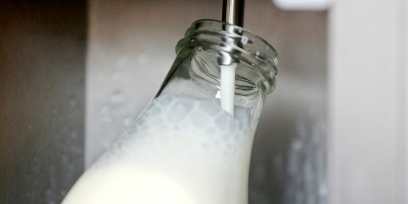 Rohmilch bekommt man direkt ab Hof. (Archivbild) - Foto: Roland Weihrauch/dpa
