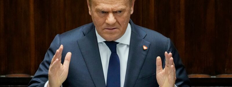 Nach Angaben von Regierungschef Donald Tusk stammen die über Polen abgeschossenen Drohnen aus Russland. (Archivbild) - Foto: Czarek Sokolowski/AP/dpa