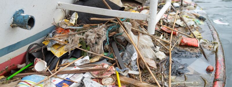 In Amsterdam bauen Blässhühner ihre Nester auch auf menschengemachte Untergründe - und mit menschengemachtem Plastik.  - Foto: Auke-Florian Hiemstra/dpa