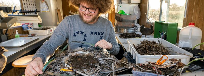 Auke-Florian Hiemstra untersucht Vogelnester wissenschaftlich und macht dabei erstaunliche Entdeckungen. - Foto: Hielco Kuipers/Fotoprodukties Leiden/dpa