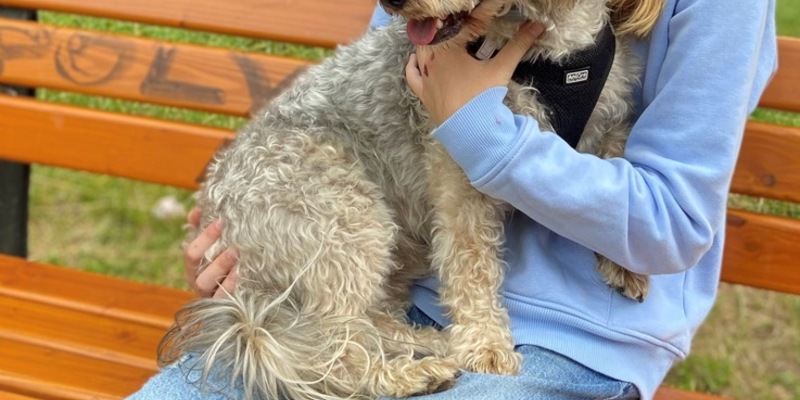 POL-GI: Wettenberg: 16-jährige Zoe Emily Eder aus Wettenberg Vermisst - Foto: presseportal.de