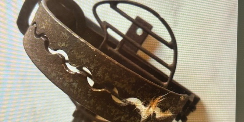 POL-PDWIL: Fallensteller - Foto: presseportal.de