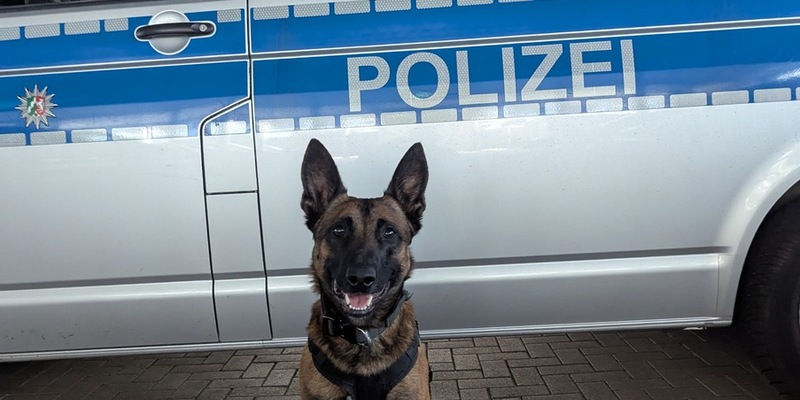 POL-E: Essen: Kupferdiebe auf frischer Tat ertappt - Angriff scheitert an Diensthund Rudi - Foto: presseportal.de