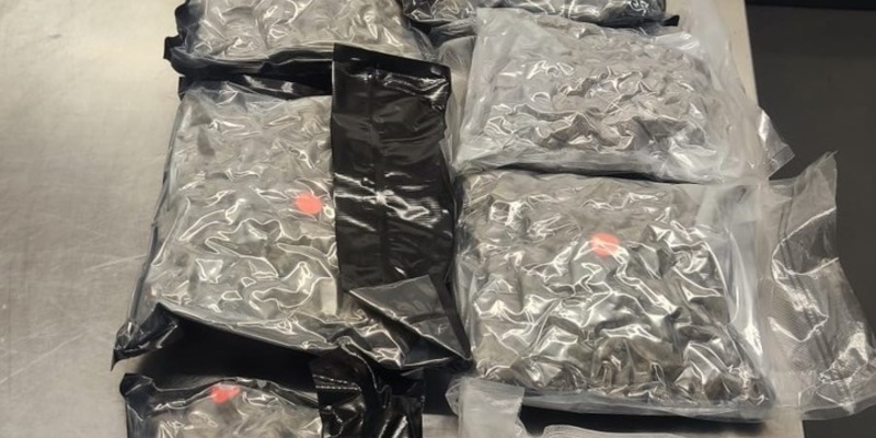 HZA-S: 5,3 Kilogramm Marihuana erschnüffelt / Stuttgarter Zoll stoppt Drogenschmuggel aus Barcelona - Foto: presseportal.de