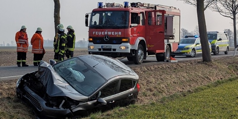 POL-HI: Baumunfall fordert zwei Verletzte - Foto: presseportal.de