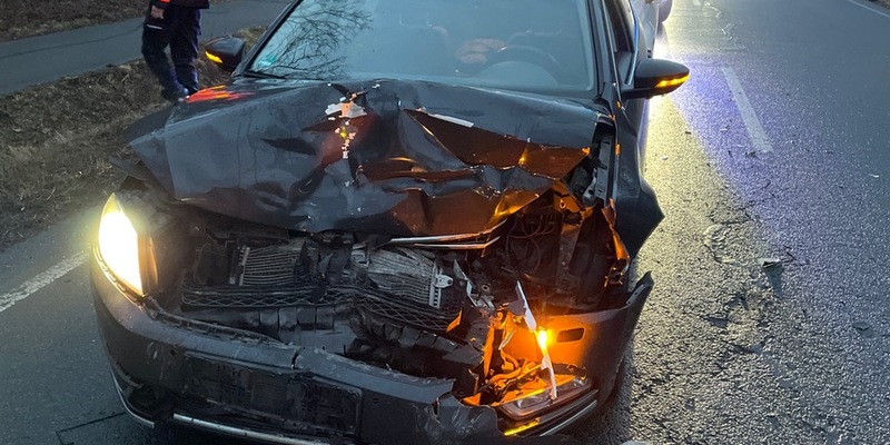 LPI-EF: Wildschweine verursachen Verkehrsunfall - Foto: presseportal.de