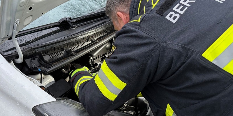 FW-M: Schwarzer Kater ohne Glück (Obersendling) - Foto: presseportal.de