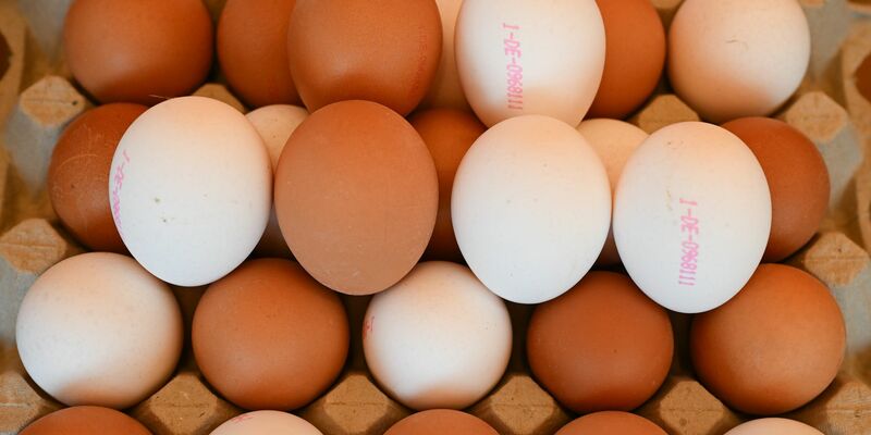 Der Transport über den Atlantik wäre nur eins der Hindernisse beim Export von Eiern in die USA. - Foto: Arne Dedert/dpa