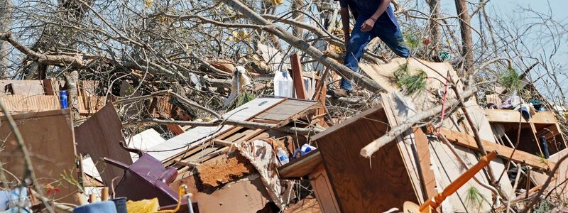 Ein Kiefernwald in Mississippi wurde durch einen Tornado zerstört. - Foto: Rogelio V. Solis/AP/dpa