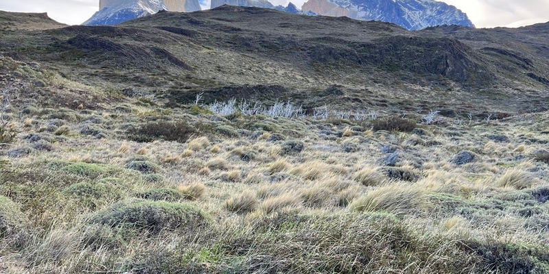 Trendreport: Die Luxusdestinationen 2025 kuratiert von FYNE Travel - Foto: presseportal.de