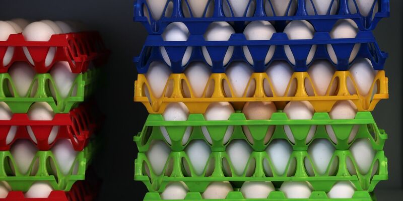 In Deutschland wurden im vergangenen Jahr 20,8 Milliarden Eier verbraucht. - Foto: Karl-Josef Hildenbrand/dpa