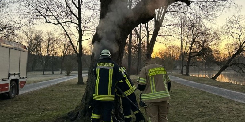LPI-NDH: Unbekannte entzünden Baum in Sondershäuser Schlosspark - Zeugen gesucht - Foto: presseportal.de