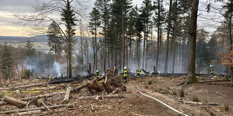FW-AR: Waldbrand beschäftigt Feuerwehr stundenlang - Foto: presseportal.de