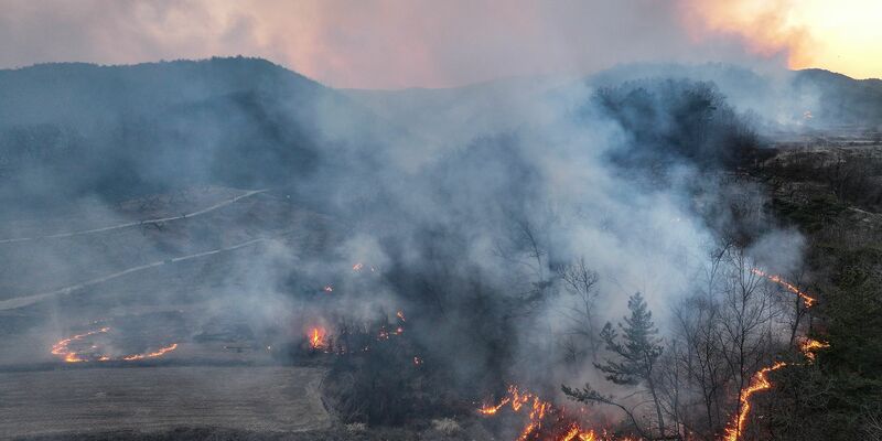 Bei den Toten und Verletzten handelt es sich um Feuerwehrleute und Regierungsbeamte. - Foto: Yoon Gwan-shick/Yonhap/AP/dpa