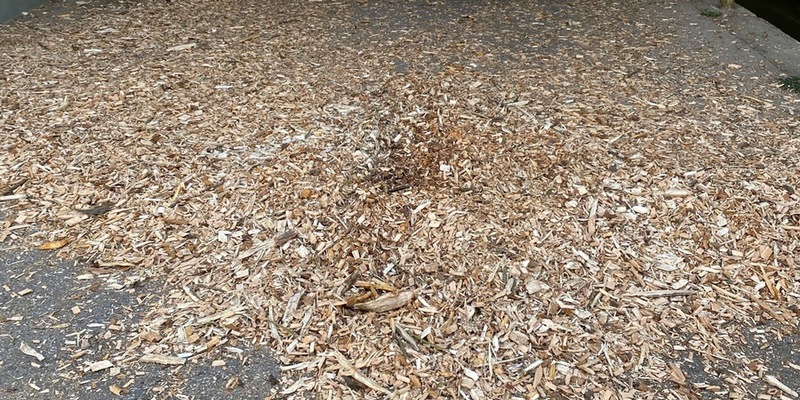 POL-PDLD: Kandel - Unfall durch verlorene Hackschnitzel - Foto: presseportal.de