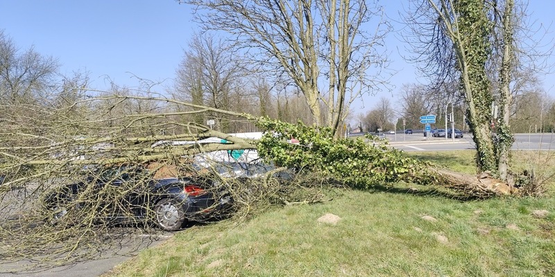 POL-WL: Pressemitteilung der Polizeiinspektion Harburg für den Zeitraum von Freitag, 21.03.2025, 12:00 Uhr bis Sonntag, 23.03.2025, 12:00 Uhr - Foto: presseportal.de